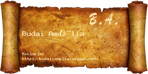 Budai Amélia névjegykártya